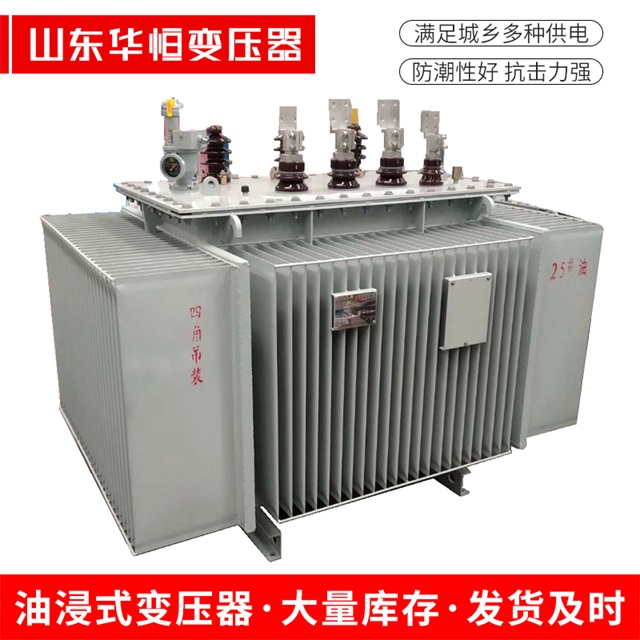 S13-10000/35宝兴宝兴宝兴电力变压器厂家